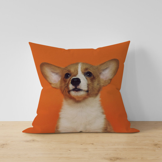Polštář dekorační - Baby Coated Dog