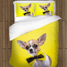 Povlečení pes - Chihuahua dog