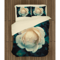 Povlečení luxusní - White Rose