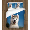 Povlečení husky - Baby Husky