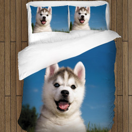 Povlečení husky - Baby Husky