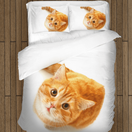 Povlečení kočka - Cat