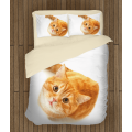 Povlečení kočka - Cat