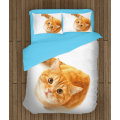Povlečení kočka - Cat