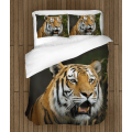 Moderní 3D povlečení - Bagira Tiger