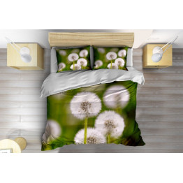 Povlečení pampelišky - Dandelions
