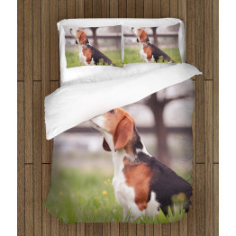 3D Kvalitex povlečení - Beagle in the Wood
