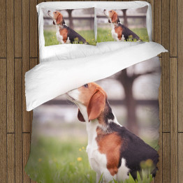 3D Kvalitex povlečení - Beagle in the Wood