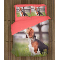 3D Kvalitex povlečení - Beagle in the Wood