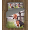 3D Kvalitex povlečení - Beagle in the Wood