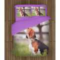 3D Kvalitex povlečení - Beagle in the Wood