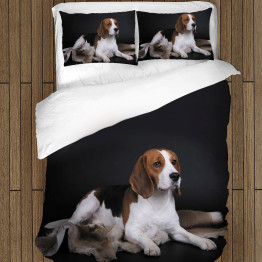 Ložní povlečení - Beagle