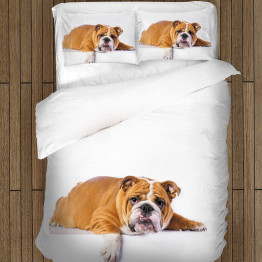 Krásné povlečení - British Bulldog
