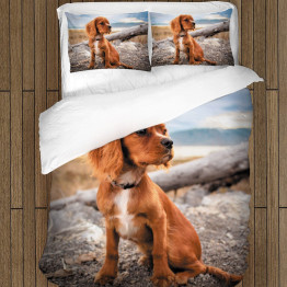 Povlečení pejsci - Cocker Spaniel