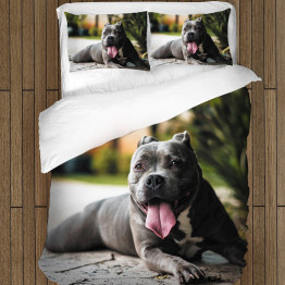 Povlečení pejsci - Pitbull