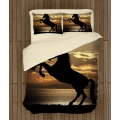 Povlečení s přikrývkou - Horse