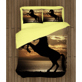Povlečení s přikrývkou - Horse
