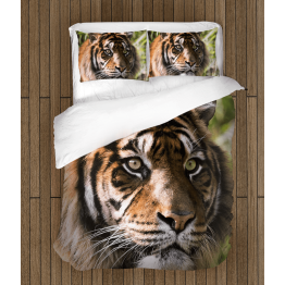 Povlečení s přikrývkou - Tiger