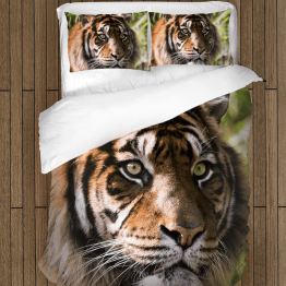 Povlečení s přikrývkou - Tiger