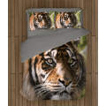 Povlečení s přikrývkou - Tiger