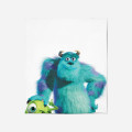 Teplá deka - Monster Inc.