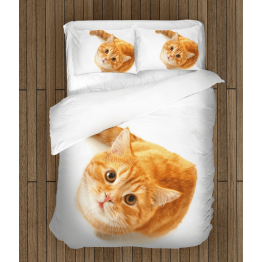 3D povlečení s přikrývkou - Reddish Cat