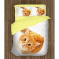 3D povlečení s přikrývkou - Reddish Cat