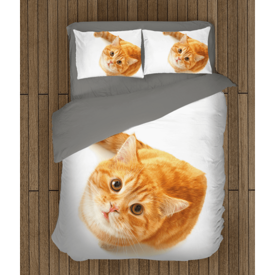 3D povlečení s přikrývkou - Reddish Cat