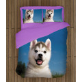 Povlečení s přikrývkou - Baby Husky