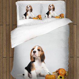 3D povlečení s přikrývkou - Baby Beagle