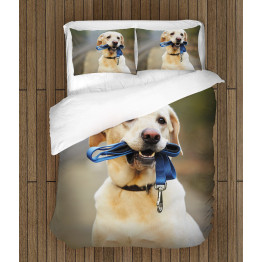 Ložní soupravy s přikrývkou - Labrador