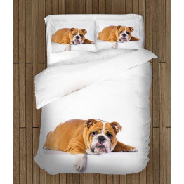 Ložní soupravy s přikrývkou - British Bulldog