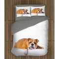 Ložní soupravy s přikrývkou - British Bulldog