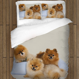 Ložní souprava - Pomeranian Babies