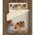 Ložní souprava - Pomeranian Babies