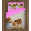 Ložní souprava - Pomeranian Babies