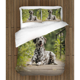 Ložní soupravy s přikrývkou - Dalmatian