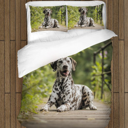 Ložní soupravy s přikrývkou - Dalmatian