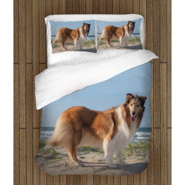 Povlečení s přikrývkou - Collie