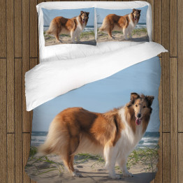 Povlečení s přikrývkou - Collie