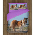 Povlečení s přikrývkou - Collie