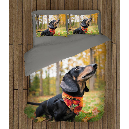 Přikrývka - Dackel