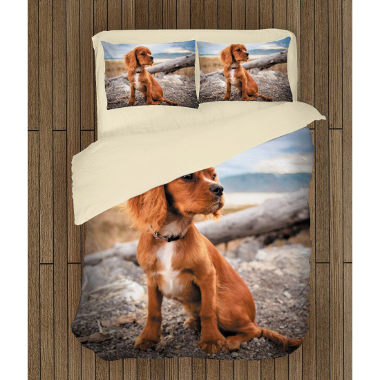 Povlečení s přikrývkou - Cocker Spaniel