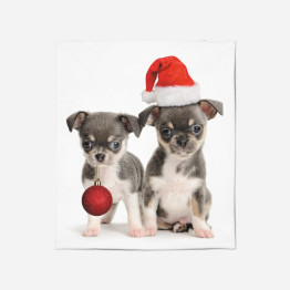 Deka - Christmas Puppies