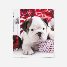 Vánoční deka - Christmas Puppy