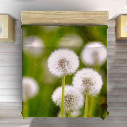 Luxusní přehoz na postel pampelišky - Dandelions