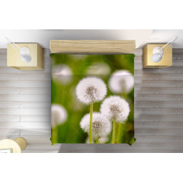 Luxusní přehoz na postel pampelišky - Dandelions