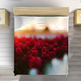 Přehoz na postel - Tulips
