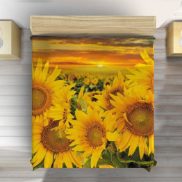 Moderní přehoz na postel - Sunflowers