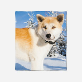 Měkká deka - Akita